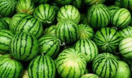 射阳网红吃瓜事件真相,真相背后的网络风波